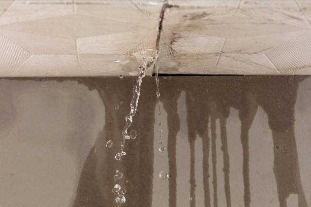 Professional Water Damage Repair technician working in Lyons, KS
